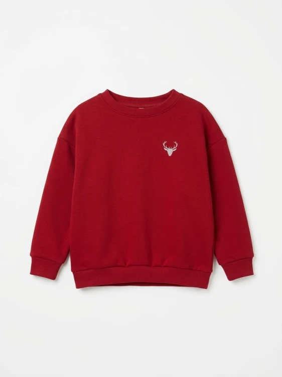 crewneck-karmin-2.JPG